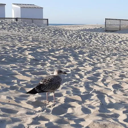 Marjolaine Prachtig Zeezicht - 4de Verdiep -op De Dijk 5pers Nieuwpoort